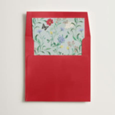 Slip-In Envelope Liners