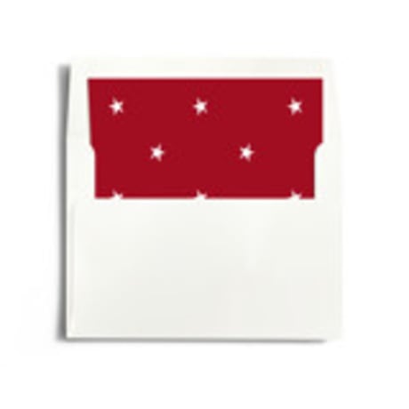 Slip-In Envelope Liners