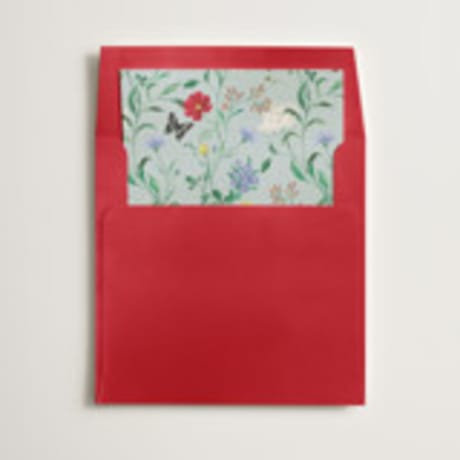 Slip-In Envelope Liners