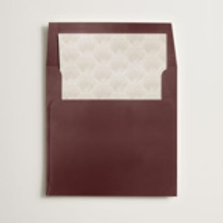 Slip-In Envelope Liners