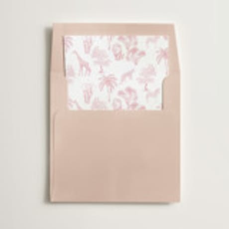 Slip-In Envelope Liners