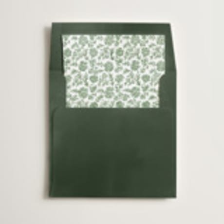Slip-In Envelope Liners