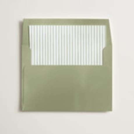 Slip-In Envelope Liners