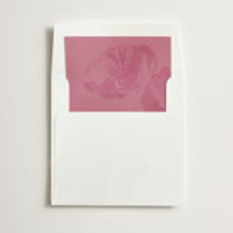 Slip-In Envelope Liners