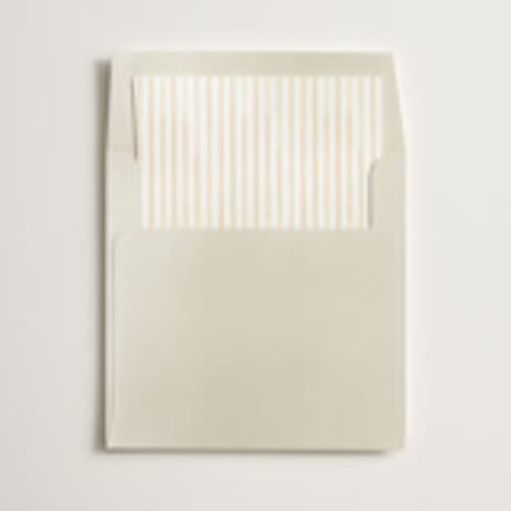 Slip-In Envelope Liners