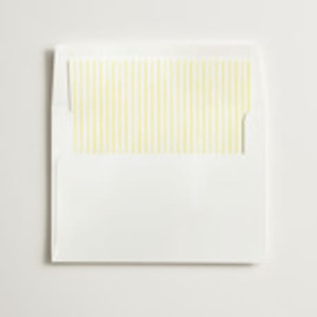 Slip-In Envelope Liners