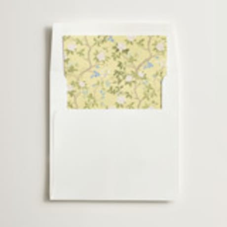 Slip-In Envelope Liners