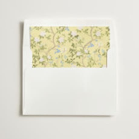 Slip-In Envelope Liners