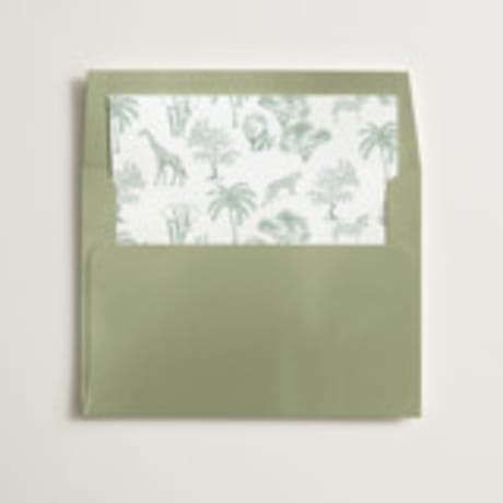 Slip-In Envelope Liners