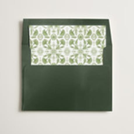 Slip-In Envelope Liners