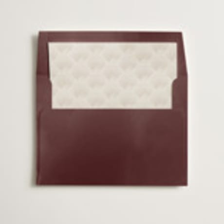 Slip-In Envelope Liners