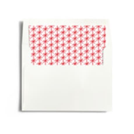 Slip-In Envelope Liners