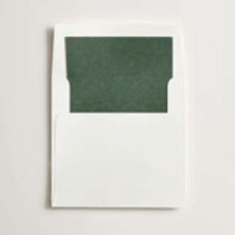 Slip-In Envelope Liners