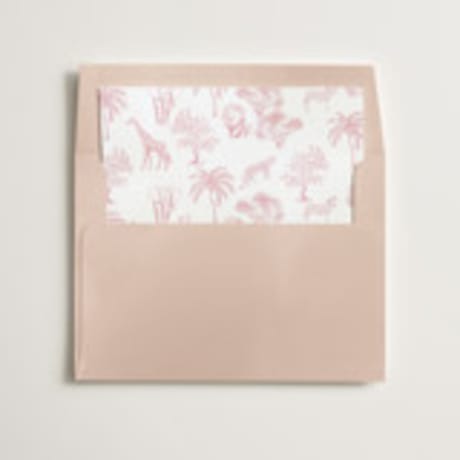 Slip-In Envelope Liners