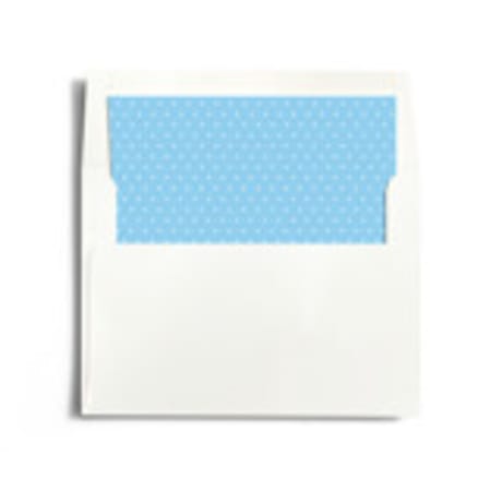 Slip-In Envelope Liners