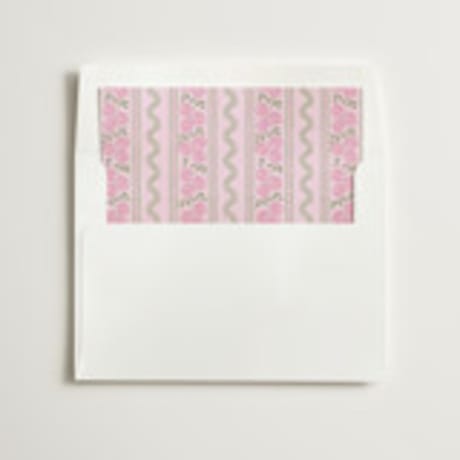 Slip-In Envelope Liners