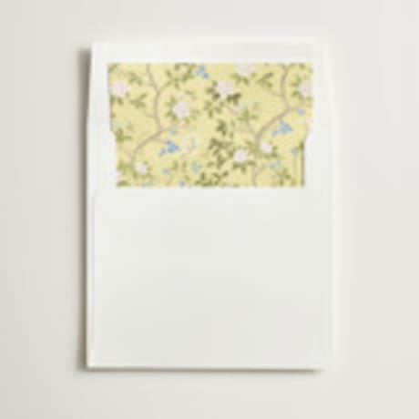 Slip-In Envelope Liners