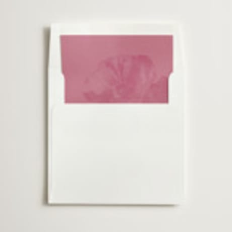 Slip-In Envelope Liners