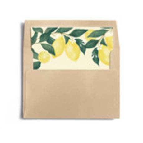 Slip-In Envelope Liners
