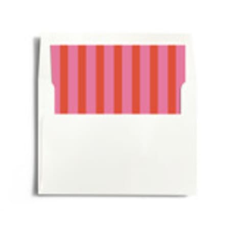 Slip-In Envelope Liners
