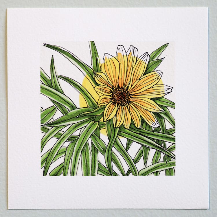 "Garden Sketch Maximilian Sunflower" - Limited Edition Fine Art Print in yellow by Janie Allen