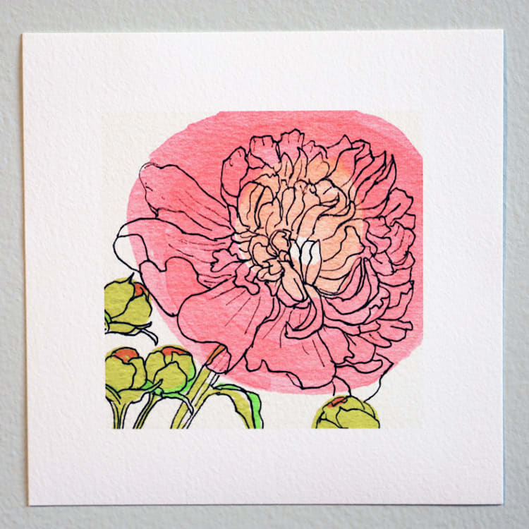 "Garden Sketch Peony I" - Limited Edition Fine Art Print in pink by Janie Allen
