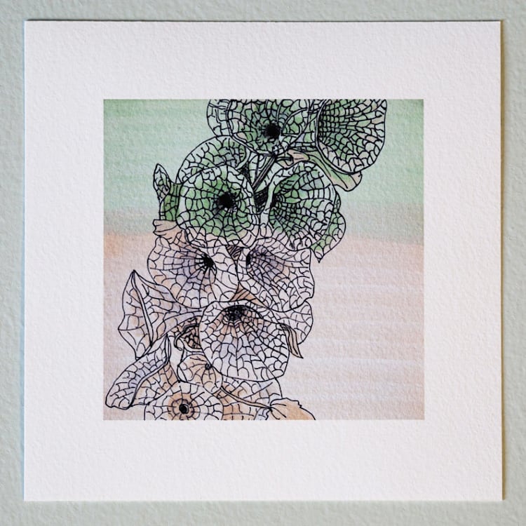 "Garden Sketch Bells of Ireland" - Limited Edition Fine Art Print in green by Janie Allen
