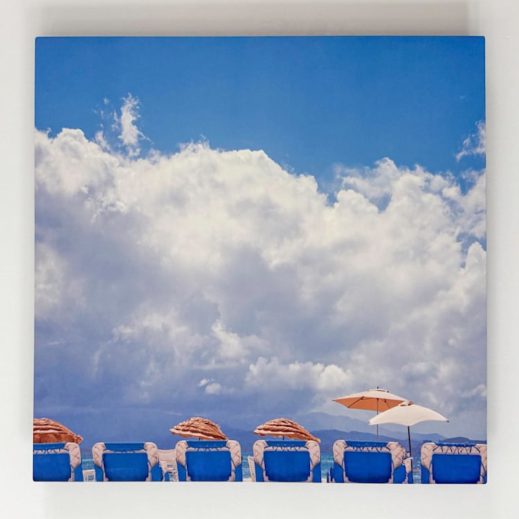 "STRAW TOPS" - Limited Edition Fine Art Print in blue by Catherine Hartigan