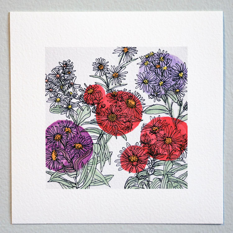 "Garden Sketch Asters" - Limited Edition Fine Art Print in pink by Janie Allen