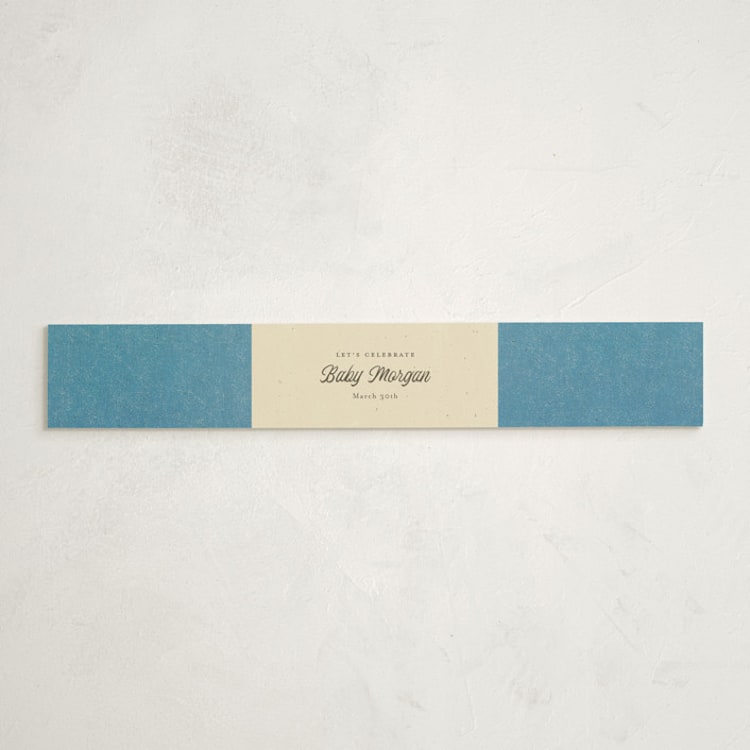 "Vintage Teddy" - Baby Shower Belly Bands in Glacier by Kimberly Morgan - Front
