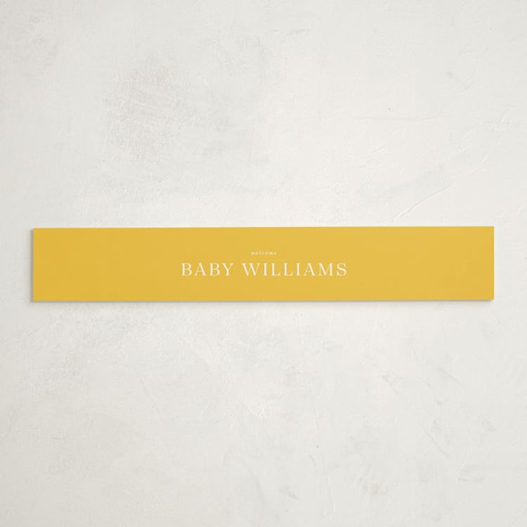 "Hummingbird Garden" - Baby Shower Belly Bands in Saffron by Eve Schultz - Front