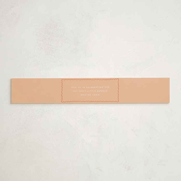 "Stork Party" - Baby Shower Belly Bands in Tangerine by Zani van Zyl - Front