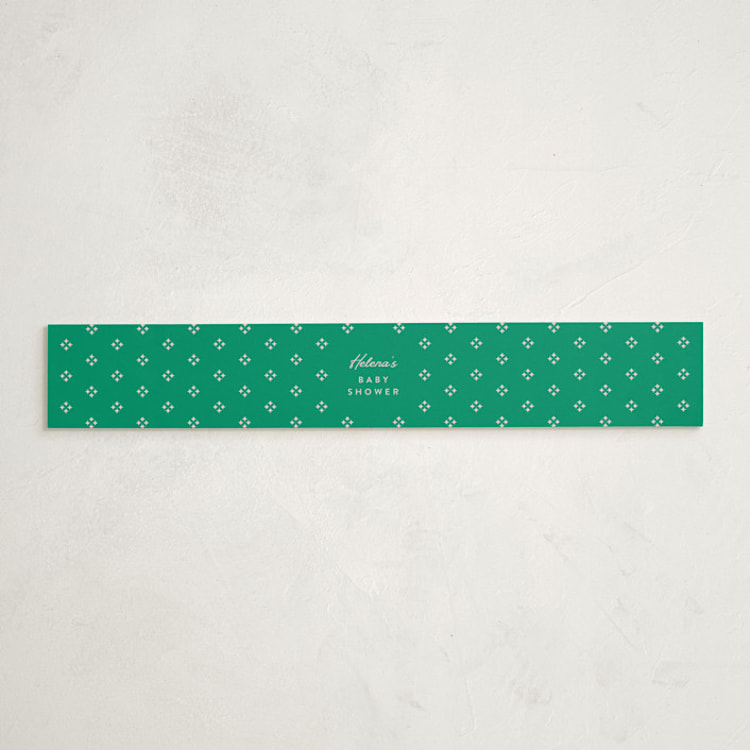 "Preppy Confetti" - Baby Shower Belly Bands in Peony by Olivia Raufman - Front