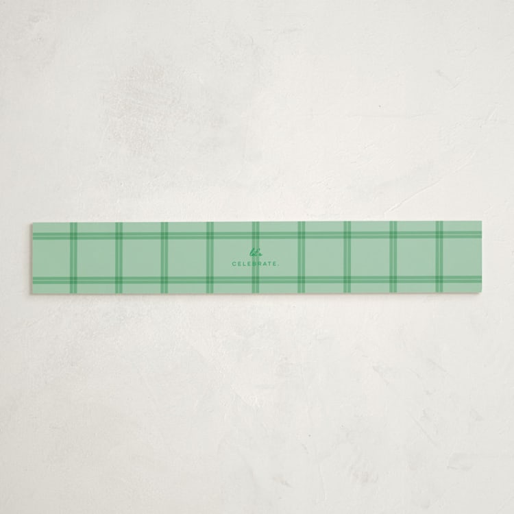 "Vintage Classic" - Baby Shower Belly Bands in Mint by Jen Ramsey - Front