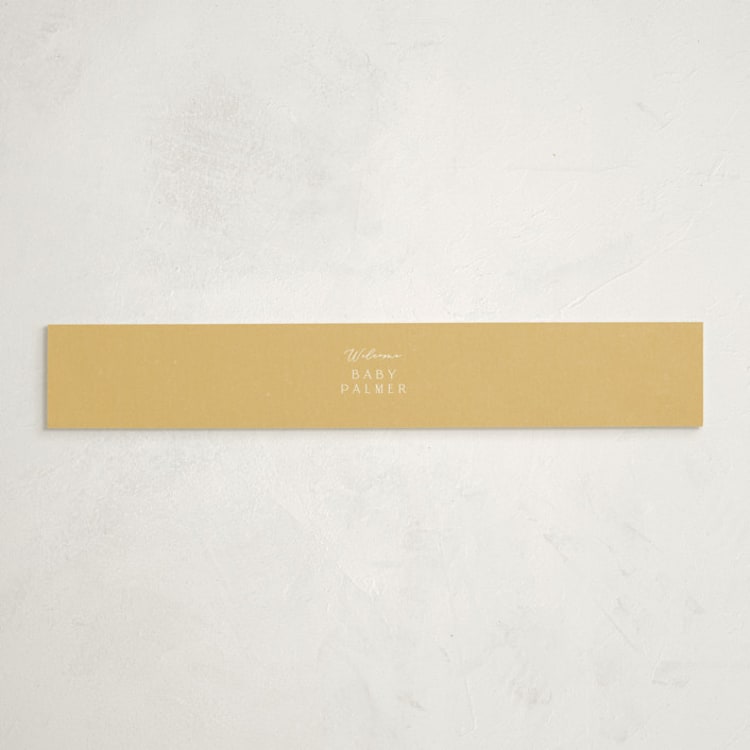"Meadow flowers" - Baby Shower Belly Bands in Vanilla by Jennifer Wick - Front