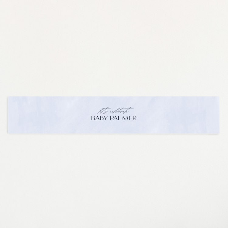 "Over the Rainbow" - Baby Shower Belly Bands in Meadow by Pixel and Hank - Front