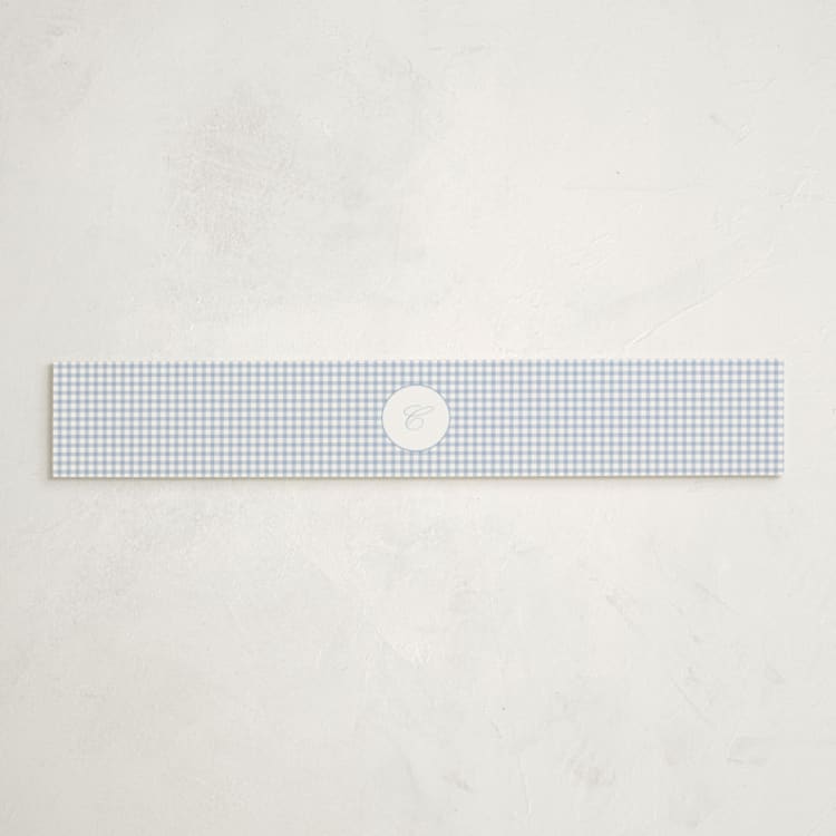 "Gingham Rockinghorse" - Baby Shower Belly Bands in Baby Blue by Olivia Raufman - Front