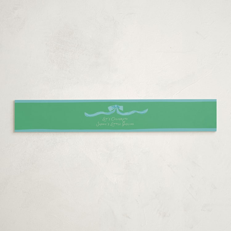 "Goose" - Baby Shower Belly Bands in Sage by Lori Wemple - Front