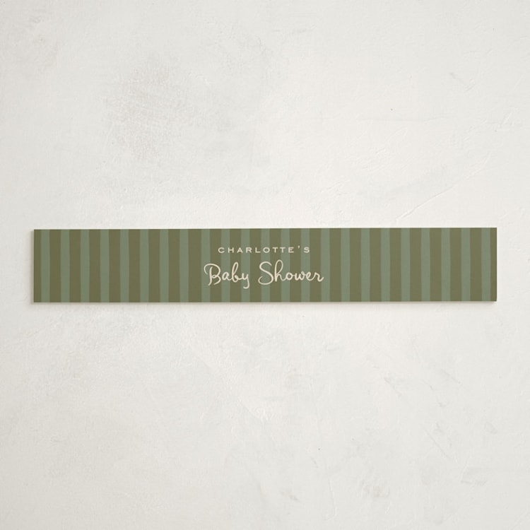 "Toys and Joy" - Baby Shower Belly Bands in Peppermint by Creo Study - Front