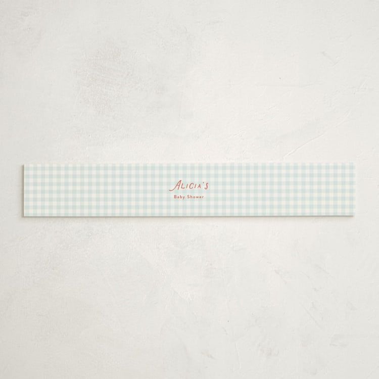 "Little Fun Guy" - Baby Shower Belly Bands in Fairy by Paper Raven Co. - Front