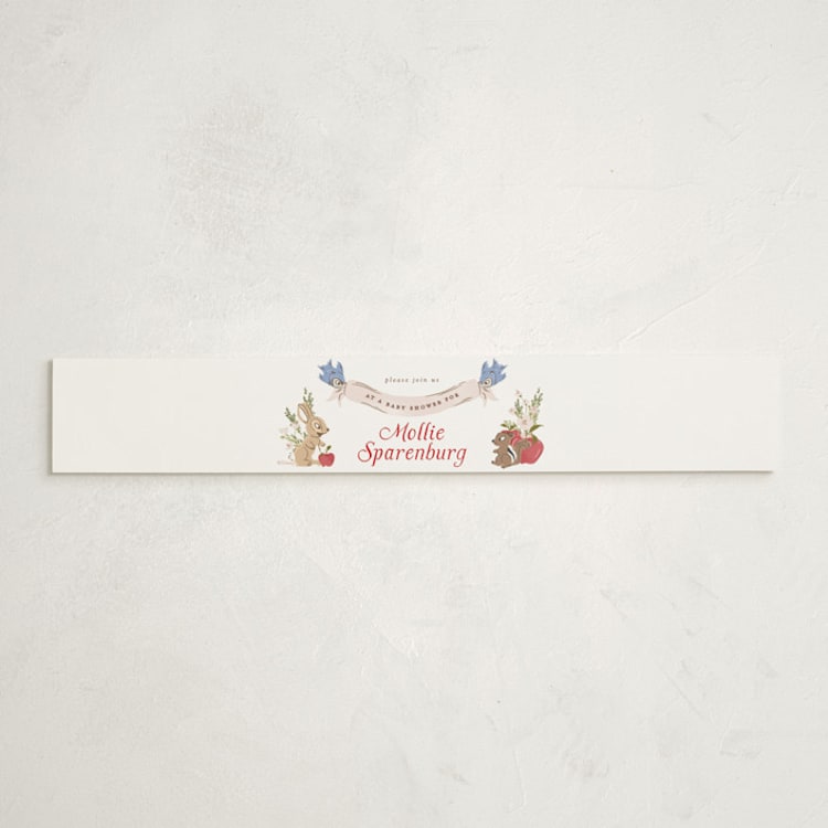 "Disney Woodland Gingham" - Baby Shower Belly Bands in Apple by Erin L. Wilson - Front