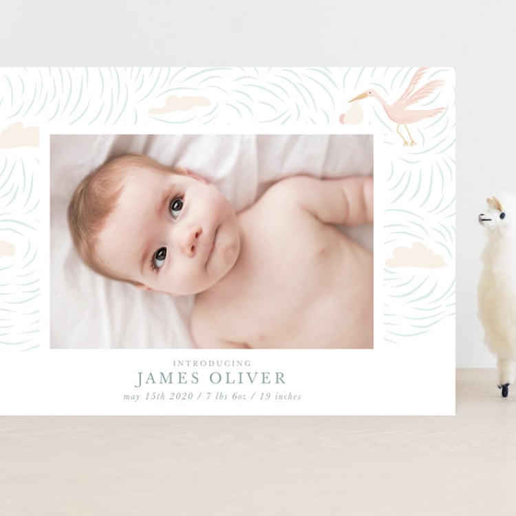 "Stork Delivery" - Birth Announcements in Blush by Hallie Fischer - Front