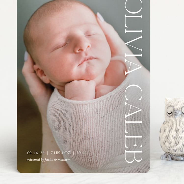 "Newest addition" - Birth Announcements in Snow by Elan Studio - Front