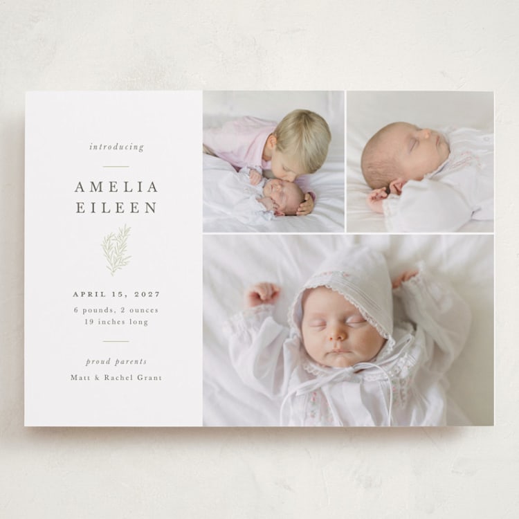 "Tiny Sprig" - Birth Announcements in Sage by Sarah Brown - Front