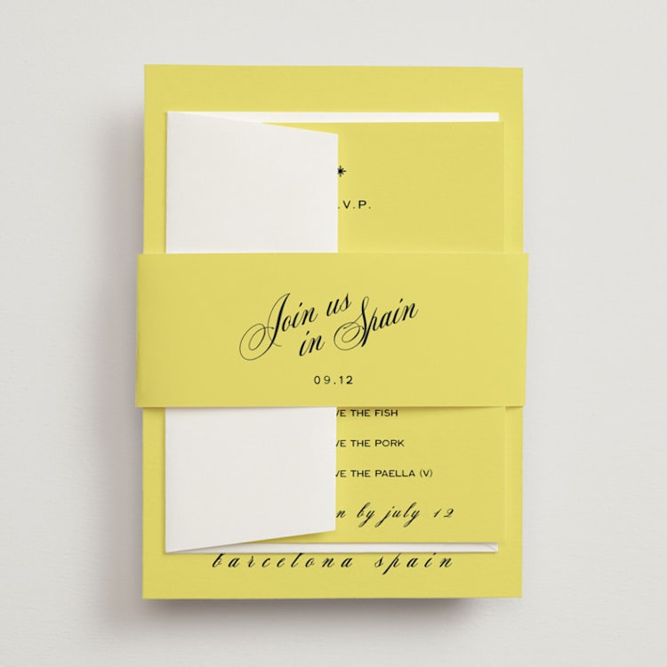 "In Lights" - Belly Bands in Lemon by Ani Somi - Front