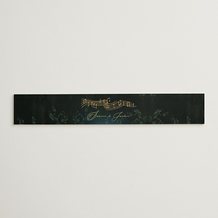 "New Orleans from Disney's Princess and The Frog" - Belly Bands in Mystic by Phrosné Barwood - Front
