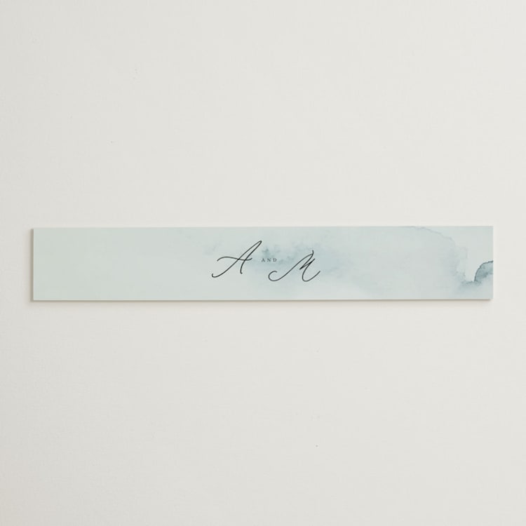 "Ocean Vibes" - Belly Bands in Sky by Marina Onoprienko - Front
