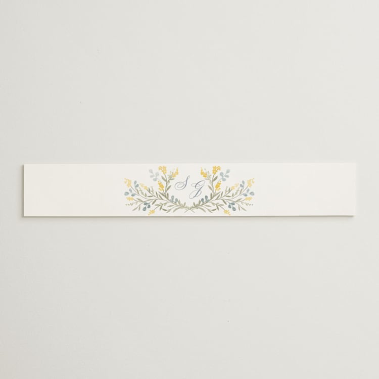 "Monogrammed" - Belly Bands in Spring by Petra Kern - Front