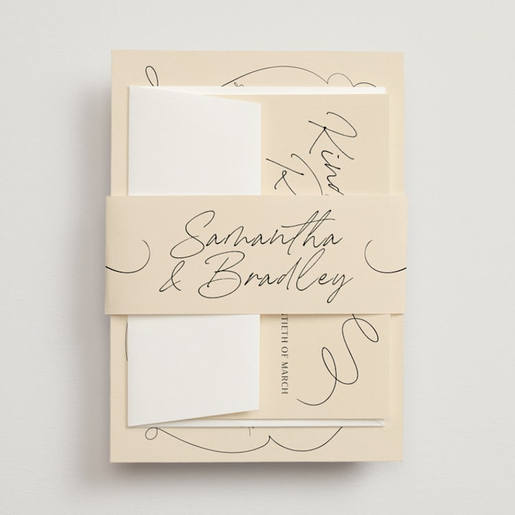 "French Whimsy Script" - Belly Bands in Champagne by Wallace Design Co. - Front