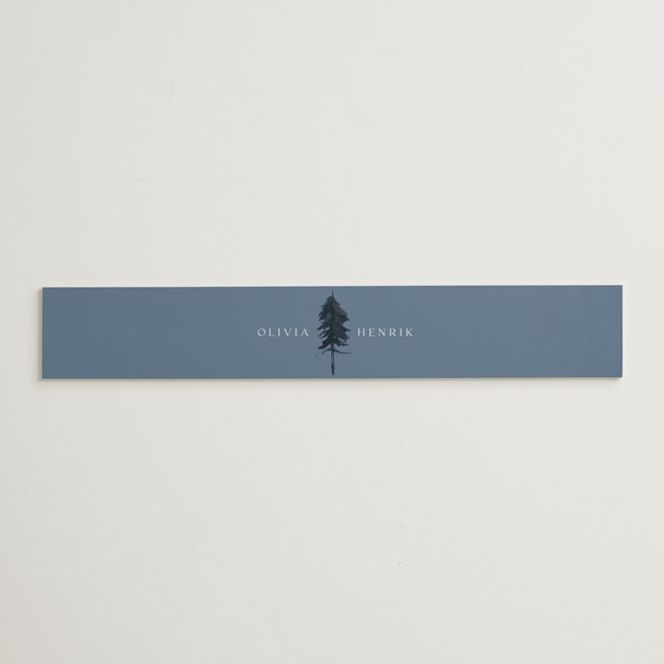 "Airy Mountain" - Belly Bands in Air by Janean Hinger - Front